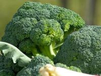 DNA’yı etkileyen 7 mucizevi sebze…