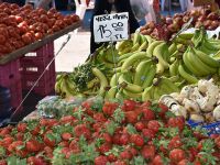 Rumlar, yoğun ilgi gösterdi