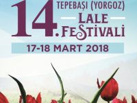 14. Tepebaşı Lale Festivali hafta sonu düzenleniyor