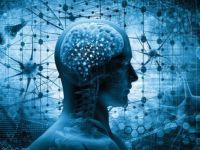 Genlerin empati kurmaktaki rolü keşfedildi