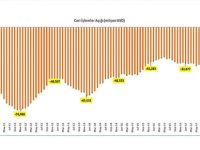 Türkiye nezle KKTC grip!