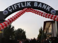 Milyonları böyle kandırıyorlar