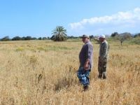 Kuraklık kabusu geri döndü