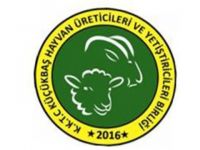 Küçükbaş Hayvan Üreticileri ve Yetiştiricileri Birliği hayvancılara yönelik tedbirler alınması çağrısı yaptı