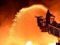 Muğla'da orman yangını