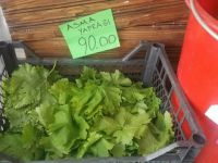 Altın fiyatına asma yaprağı