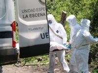 Meksika'da kamyonette 15 ceset bulundu