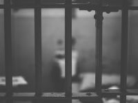 Köpek bıçaklayıp öldüren adama 3 ay hapis cezası