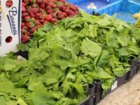 Asmanın kilosu 50 TL