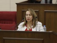 Cumhurbaşkanınca bir daha görüşülmek üzere gönderilen Kamu Sağlık Çalışanları (Değişiklik: no 2) Yasa Tasarısı kabul edildi