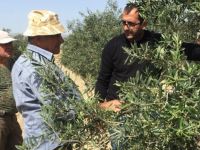 Tarım Dairesi Geçitkale’deki üreticilere eğitim verdi