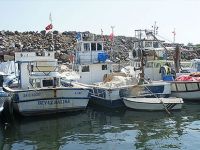 Balıkçılığa kaçak darbesi