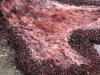 Adana’da sahte içki operasyonu