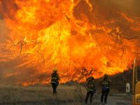 Kaliforniya'daki orman yangınlarında 3 bin 500 ev  iş yeri zarar gördü