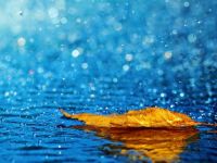 En fazla yağış Yenierenköy’de kaydedildi