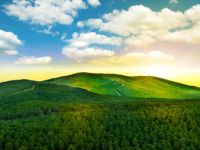 Genç Sanatçılar Resim Yarışması için başvurular 14 Mayıs’ta başlıyor