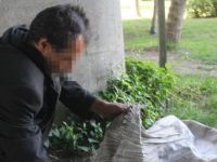 Torbasından taş çıkan adam: Taşları yastık yapmak için topladım