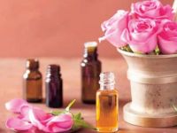 ‘Tıbbi bitkide 3 milyar dolar potansiyel’