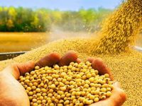 Su İşleri Dairesi çiftçileri uyardı “Yeni ekim-dikim yapmayın”