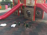 Vandallar işbaşında