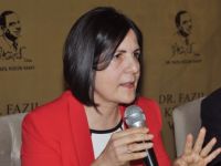 Siber: “ “Meclis denetleyemiyor, 'mış gibi' yapıyor”