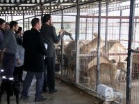 İskele’deki barınak karantinaya alındı