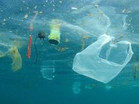 Geri dönüşümde plastik yiyen enzim umudu