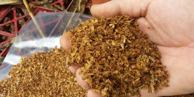 Güney Kıbrıs’ta kaçak ürünler