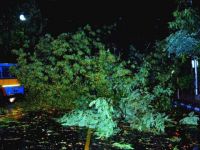 Hindistan'da fırtına: 10 ölü