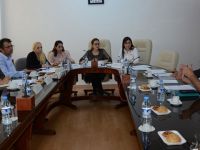 Cumhuriyet Meclisi, Hukuk, Siyasi İşler ve Dışilişkiler Komitesi bugün toplandı