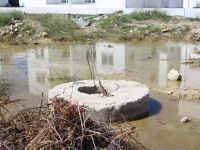 Sağlığımız tehlikede