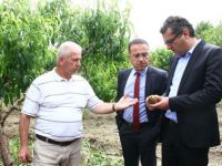 Erhürman: “Hasar tespit çalışmalarına hemen başlayacağız”