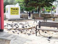 Ölüm nedeni için otopsi yapılacak