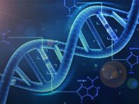DNA örneğinden saç, göz ve cilt rengini tahmin eden cihaz