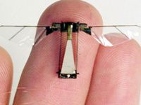 Kürdan ağırlığında robot böcek üretildi