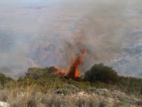 Limasol kazasında büyük yangın