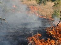 Pirgo’daki yangın kontrol altına alındı