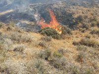 Ciğerlerimiz yanıyor!