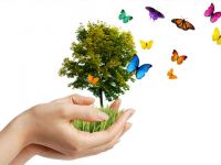 22 Mayıs Uluslararası Biyolojik Çeşitlilik Günü…