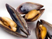 Seattle'daki midyelerde opioid maddeye rastlandı