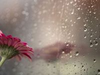 Meteoroloji Dairesi: “Bugünden itibaren 1 hafta yağmur bekleniyor”