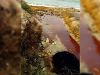 Lefke’de CMC önünde “Süpürgeni Kap Gel” eylemi yapılacak