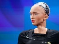 Havalimanında parçaları kaybolan robot Sophia, Başbakan ile yemeğe katılamadı