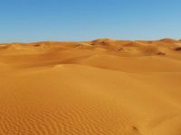 Sahra çölünde kaybolan minibüstekilerin tamamı ölü bulundu