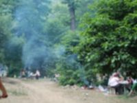 Boğaz Piknik Alanı'nda ağaca asılı bir kişi bulundu!