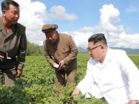 Kuzey Kore lideri Kim, ABD Dışişleri Bakanı Pompeo ile 'patates' yüzünden mi görüşmedi?