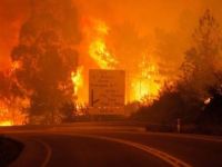 Portekiz'deki orman yangınlarında 35 kişi hayatını kaybetti