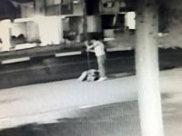 Bayrağı direğiyle birlikte çaldı