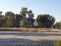 Güzelim parka kıymayın!