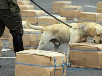 Suç örgütü polis köpeğinin başına para ödülü koydu